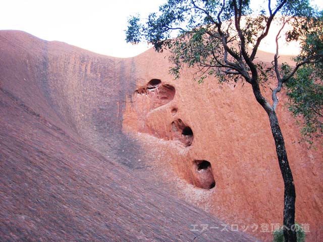 �G�A�[�Y���b�N�̐S��