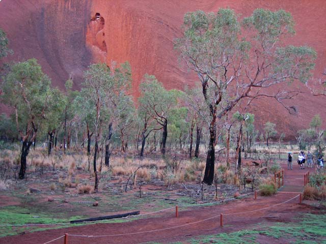 �G�A�[�Y���b�N�i�E�����j�[�@��