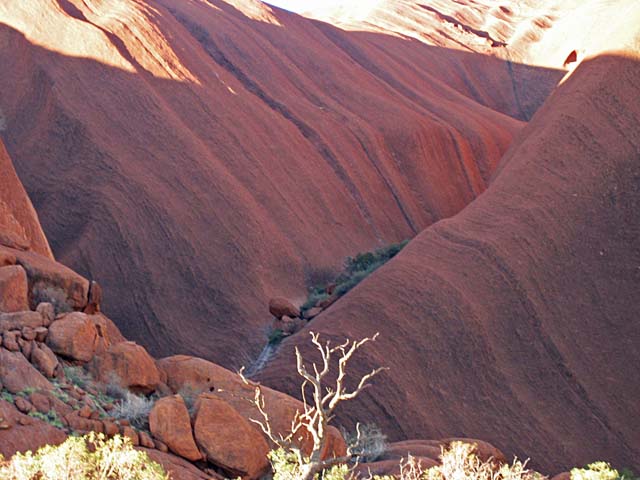 �G�A�[�Y���b�N�i�E�����j�[�@���ɂ������Ă��܂������Ȋ�