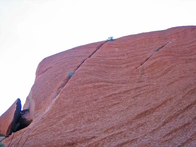 �؂������Ă���G�A�[�Y���b�N�i�E�����j