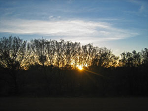 �t�����̃T�����C�Y�i���̏o�j