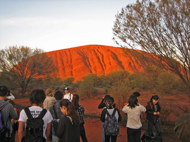 �T�����C�Y�i���̏o�j�@���w����l�X