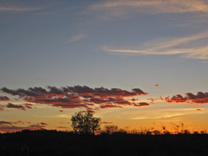 �T���Z�b�g�i���̓���j�̌i�F